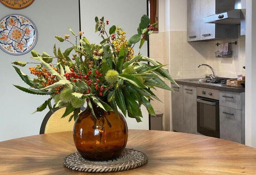 تختخواب و صبحانه Casa Katiu  Due Camere Indipendenti In Appartamento Di 83 Mq