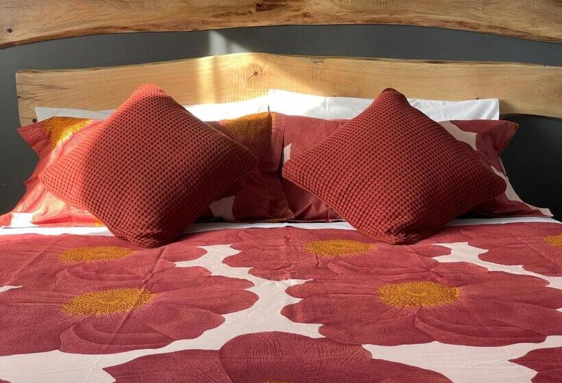 تختخواب و صبحانه Casa Katiu  Due Camere Indipendenti In Appartamento Di 83 Mq