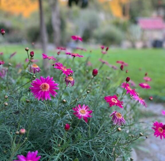 مبيت وإفطار Casarmonia