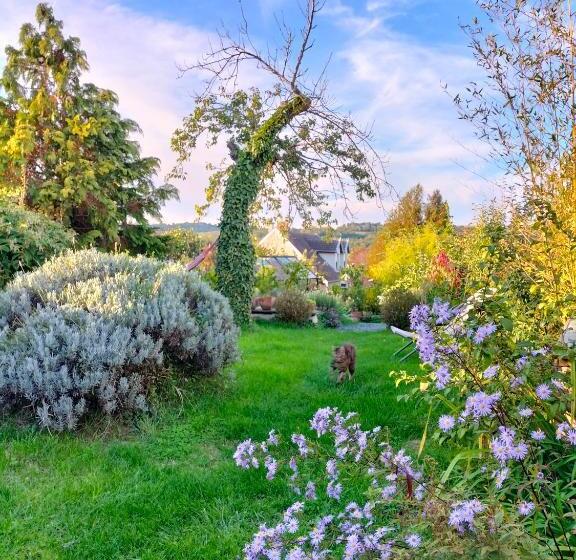 Bed and Breakfast Chambre Hortense