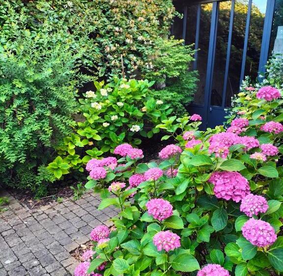 Bed and Breakfast Chambre Hortense