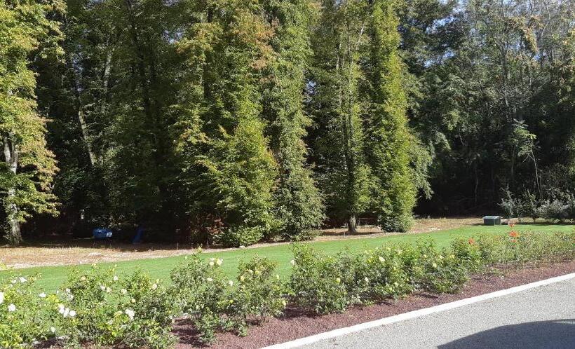 ベッドアンドブレックファースト Chambres D Hôtes Chez Sylvie