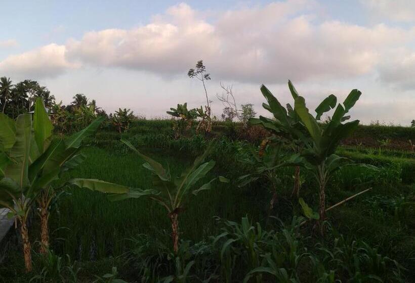 민박 D Liwatan Bungalow