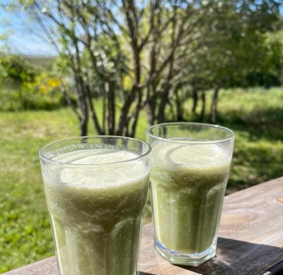 住宿加早餐 El Boho