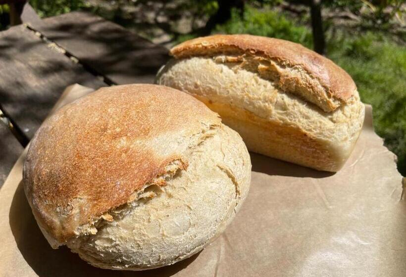 住宿加早餐 El Boho