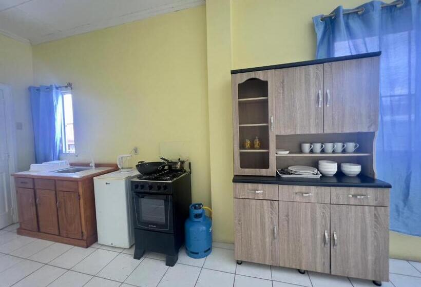 تختخواب و صبحانه Emerald Apartments Inc