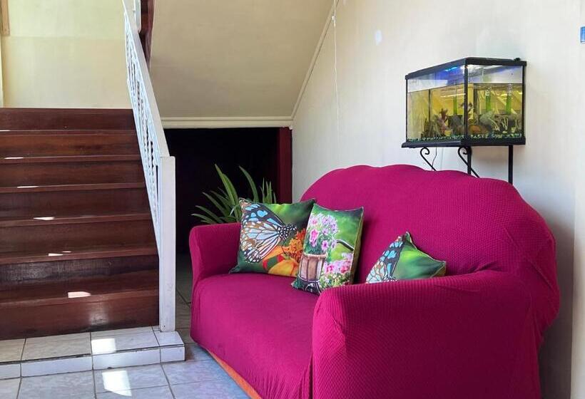 تختخواب و صبحانه Emerald Apartments Inc