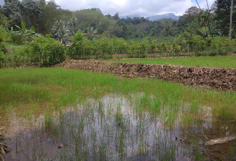 ベッドアンドブレックファースト Grand Amaya Village