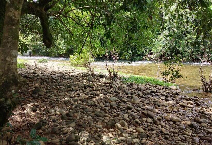 ベッドアンドブレックファースト Grand Amaya Village