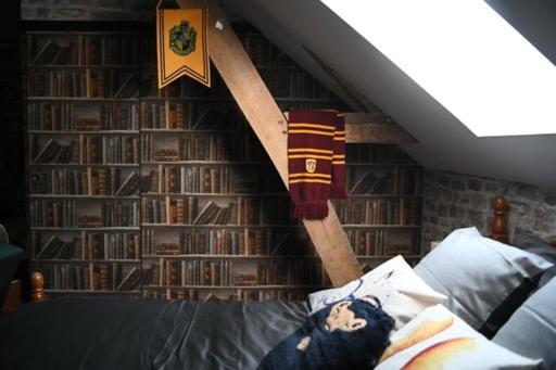 민박 Le Terrier, Chambre D Hôte à Thème Le Sorcier à Lunettes