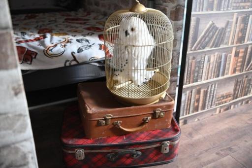 민박 Le Terrier, Chambre D Hôte à Thème Le Sorcier à Lunettes