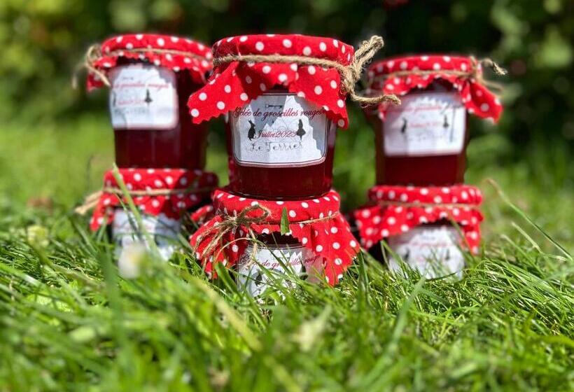 Bed and Breakfast Le Terrier, Chambre D Hôtes à Thème Alice Au Pays Des Merveilles