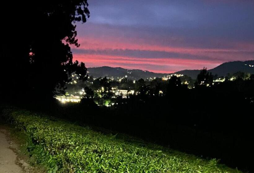 ベッドアンドブレックファースト Moonlight Chillers By Lexstays