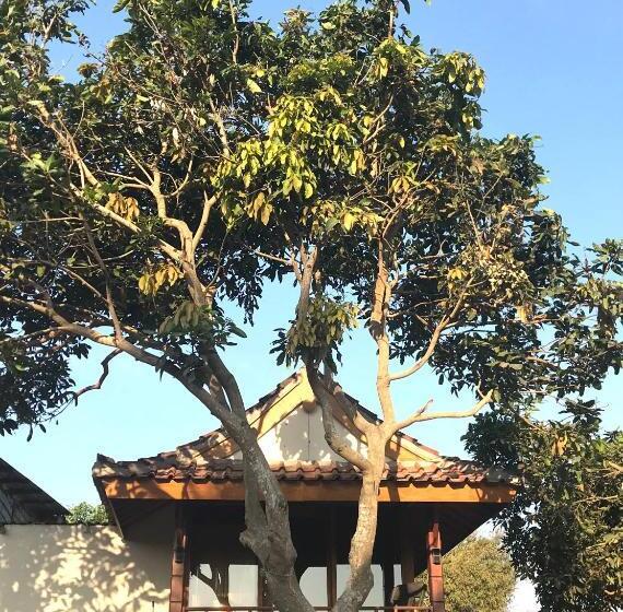 민박 Muni S Lombok Bungalow
