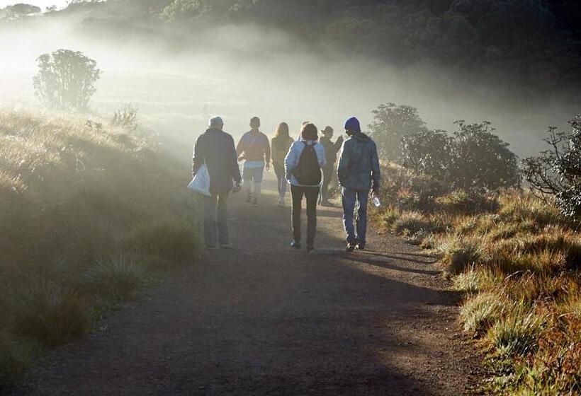 ベッドアンドブレックファースト Queen S Inn