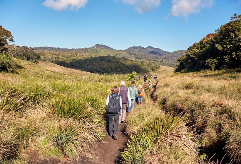 ベッドアンドブレックファースト Queen S Inn