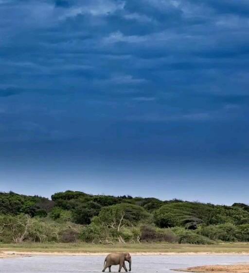 ベッドアンドブレックファースト Queen S Inn