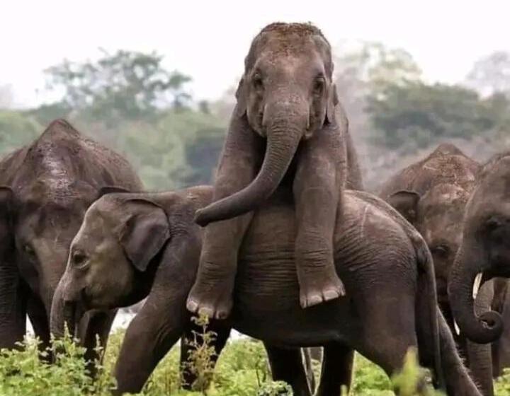 ベッドアンドブレックファースト Queen S Inn