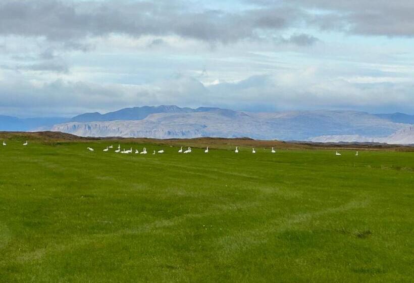 تختخواب و صبحانه Selið Farm Stay   Guesthouse