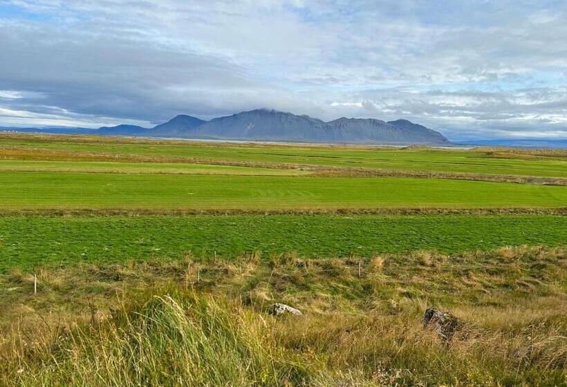 تختخواب و صبحانه Selið Farm Stay   Guesthouse