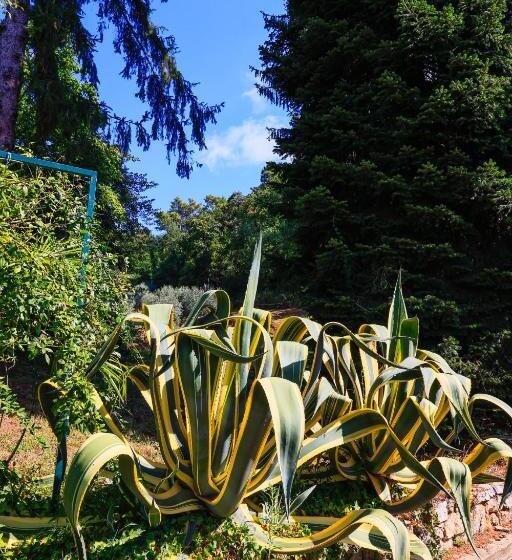 هتل Agriturismo Terra Volonteri