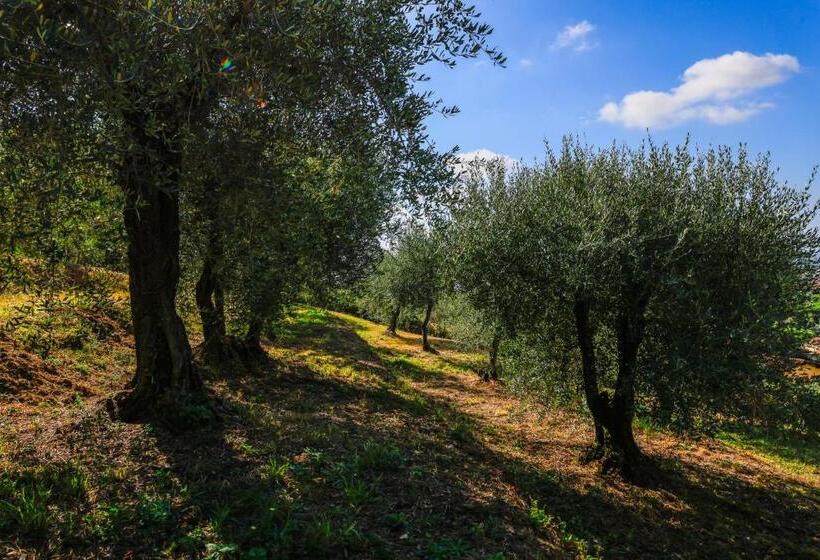 هتل Agriturismo Terra Volonteri