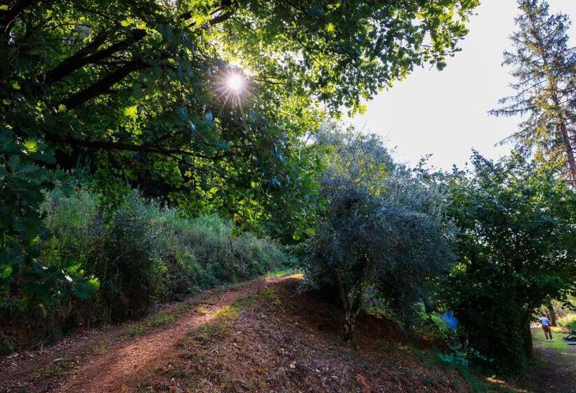 هتل Agriturismo Terra Volonteri