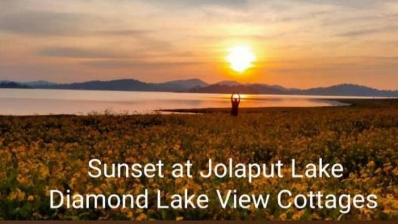 호텔 Diamond Lake View Cottages