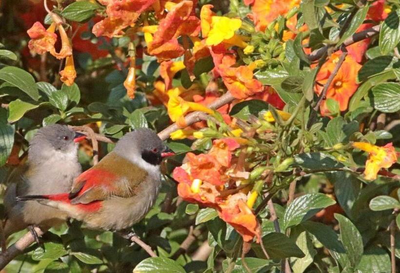 בית מלון כפרי Kuhestan Farm Cottages