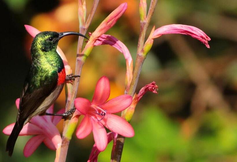 בית מלון כפרי Kuhestan Farm Cottages
