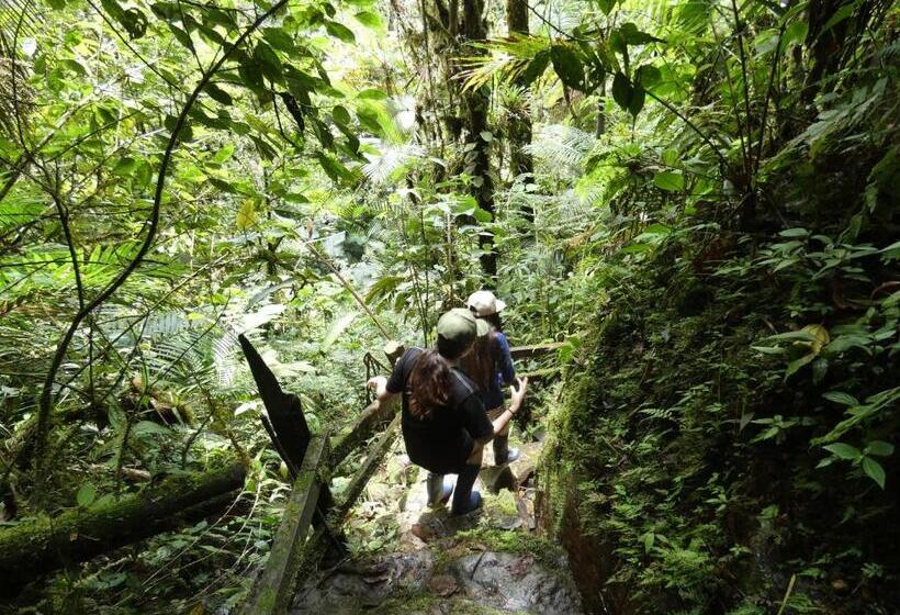 فندق La Casa Del Marqués