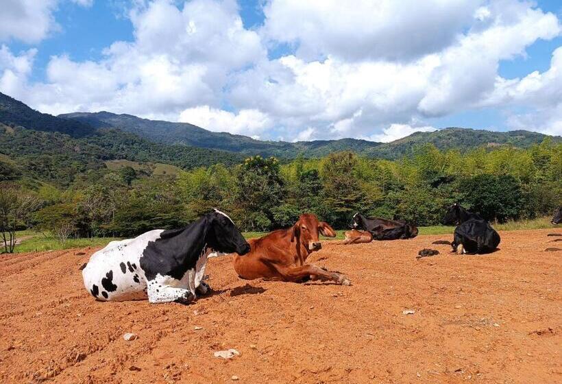 בית מלון כפרי Lemon Ecopark