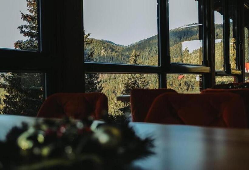 ホテル Paradise Point