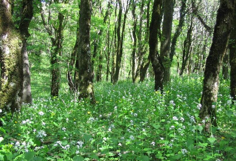 호텔 Podere Le Ghiande, Granaio N°11