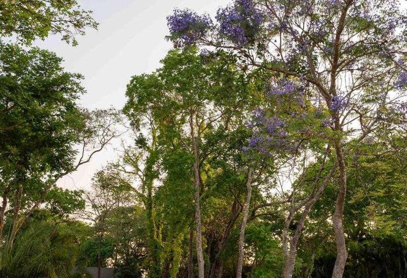 فندق Spa Agua Milagrosa