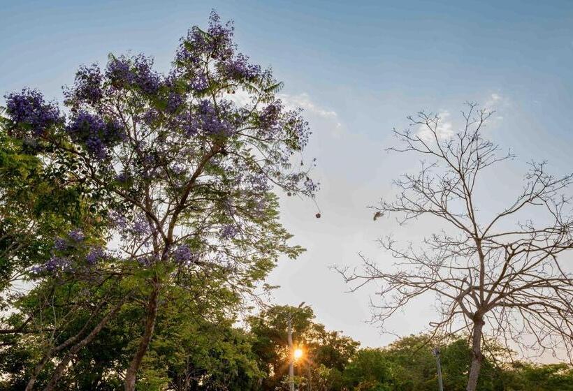 فندق Spa Agua Milagrosa