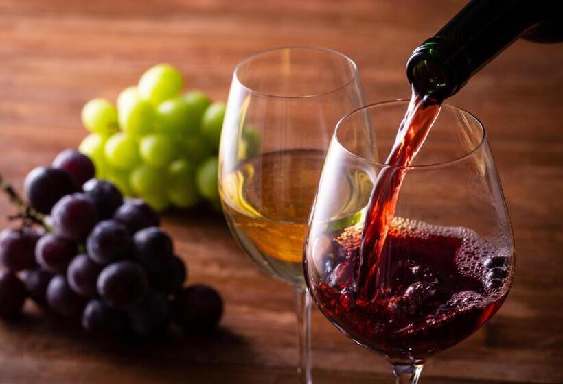 هتل Fuji Sakura Onsen Ryokan