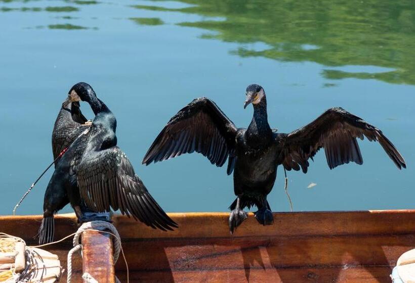هتل Fuji Sakura Onsen Ryokan