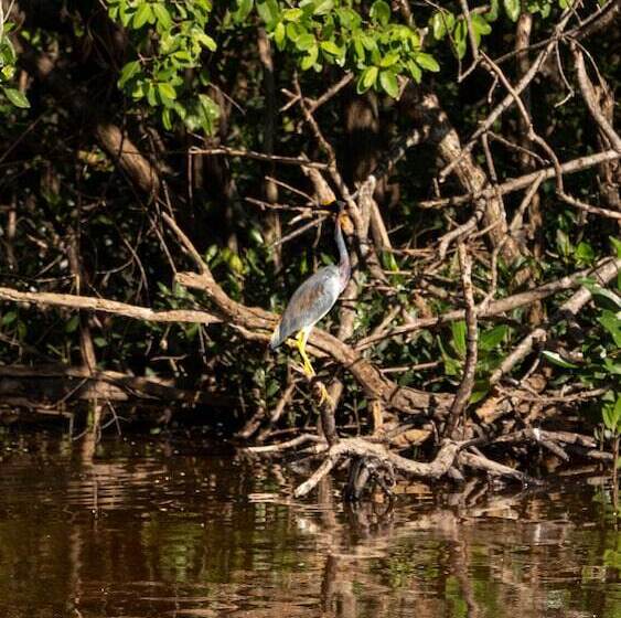 هتل Tótem Beach Club