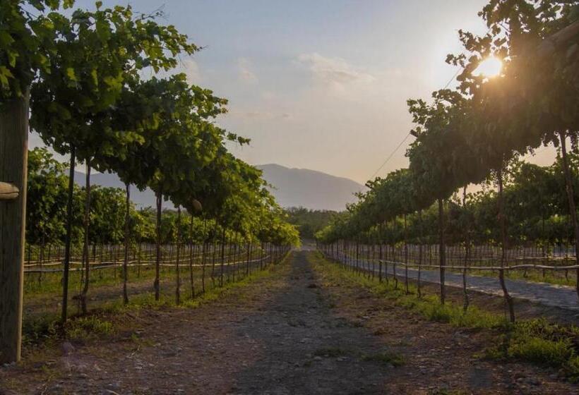 ホテル Vinícola Parvada By Lumina