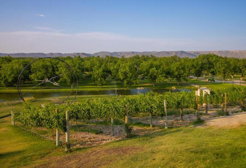 ホテル Vinícola Parvada By Lumina