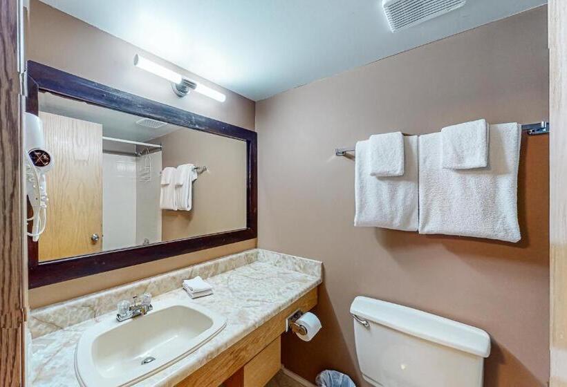 فندق Whitefoot Lodge 342/344