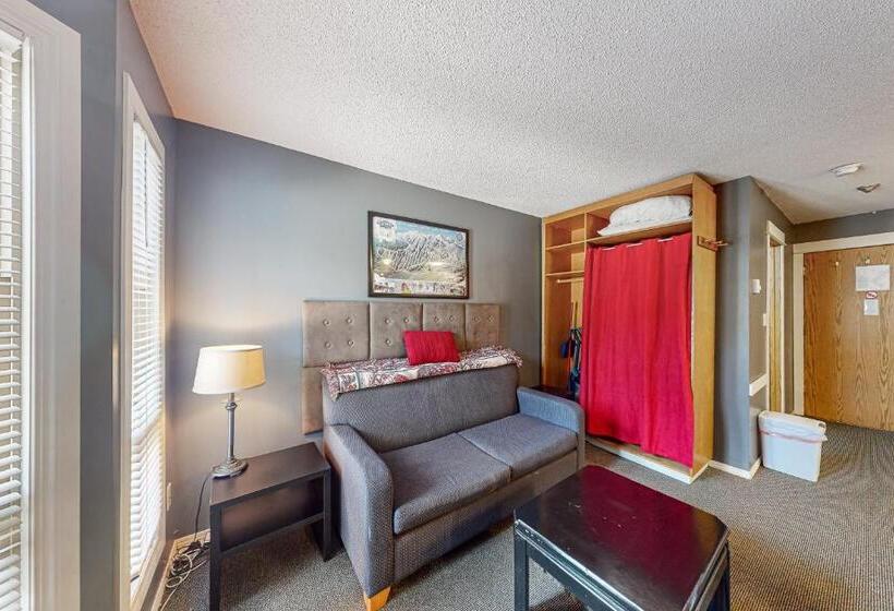 فندق Whitefoot Lodge 342/344