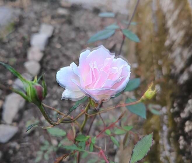 호텔 Wild Retreat Yamkeshwar