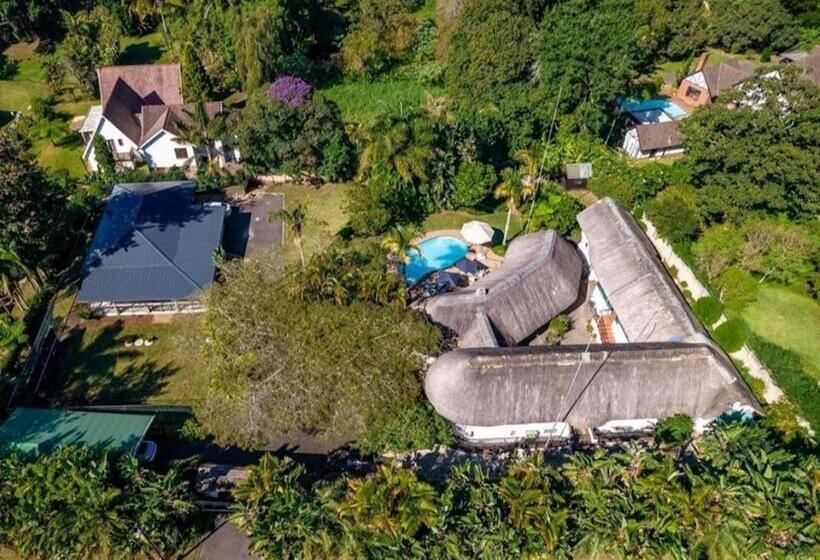 Inn Afrika Bed And Breakfast