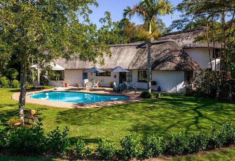 Inn Afrika Bed And Breakfast