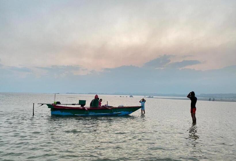 פנסיון Amadeo Guest House