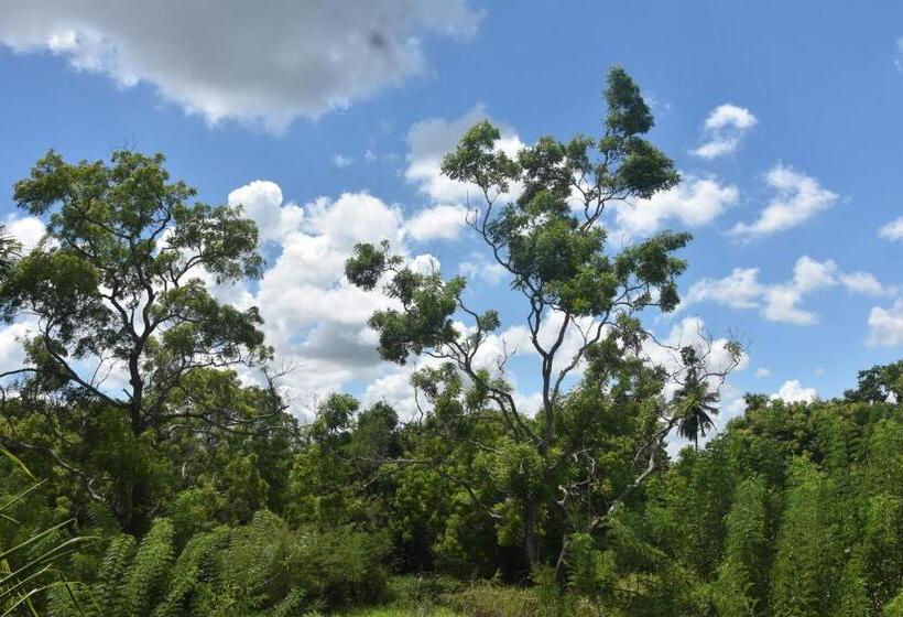 펜션 Camellia Resort