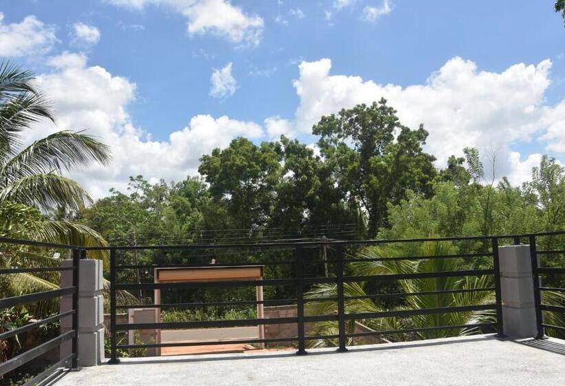 펜션 Camellia Resort