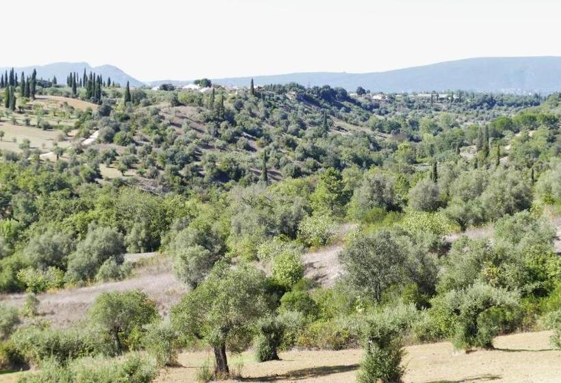 بنسيون Casa Fialli